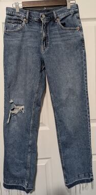 GAP 90s Loose Mid Rise Jeans Womens Distressed Raw Hem Denim Size 27 Y2K Style